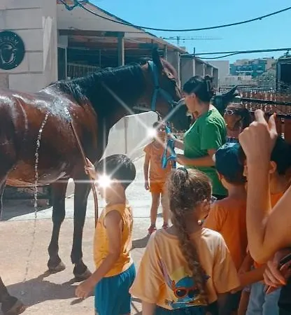 Ta' Gingel Farm Agriturisim B&b. Malta Feriegård
