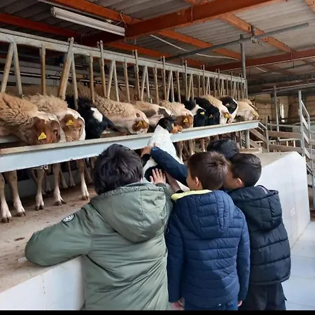 Ta' Gingel Farm Agriturisim B&b. Malta San Pawl il-Baħar