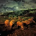 Farm stay Ta' Gingel Farm Agriturisim B&b. Malta *