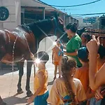 Ta' Gingel Farm Agriturisim B&b. Malta Farm stay