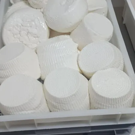 Ta' Gingel Farm Agriturisim B&b. Malta *