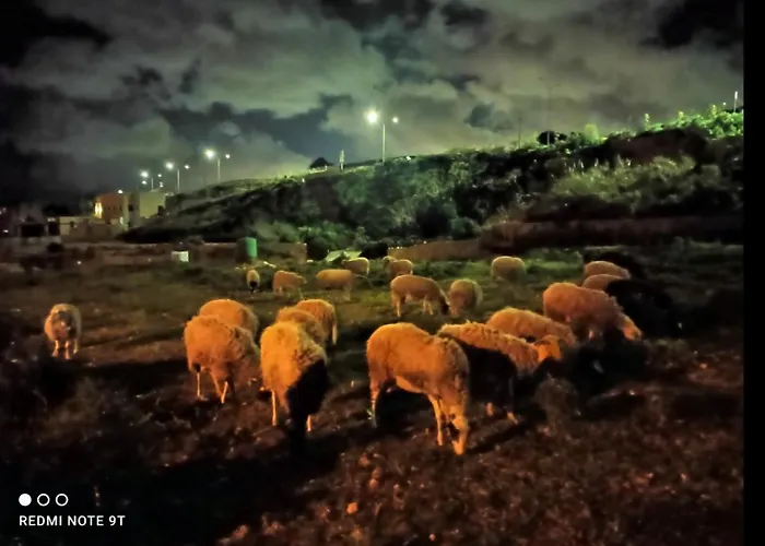 农家乐 Ta' Gingel Farm Agriturisim B&b. Malta *