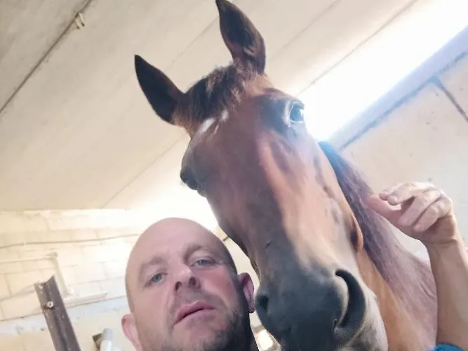 Ta' Gingel Farm Agriturisim B&b. Malta * 圣保罗湾城