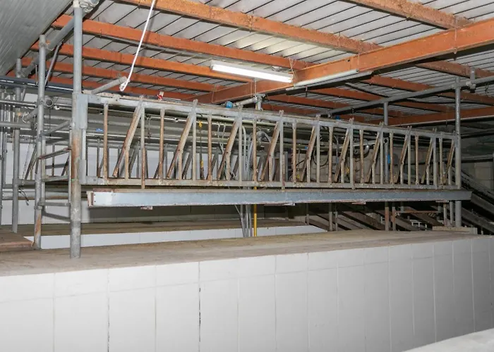 Farm stay Ta' Gingel Farm Agriturisim B&b. Malta