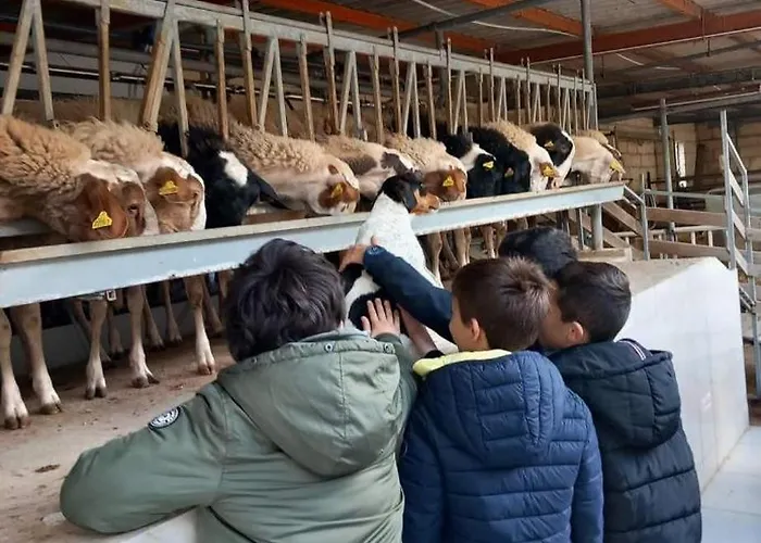 Ta' Gingel Farm Agriturisim B&b. Malta 圣保罗湾城