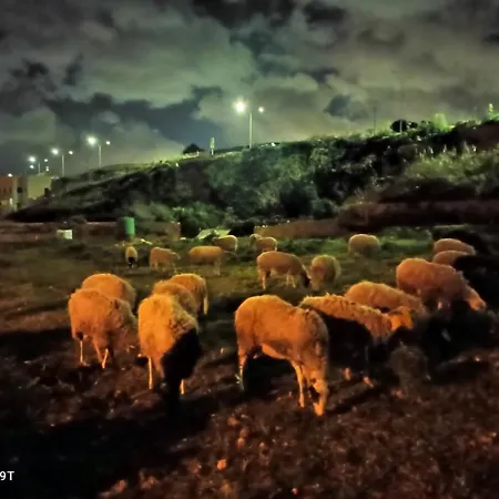 Κατάλυμα σε φάρμα Ta' Gingel Farm Agriturisim B&b. Malta *