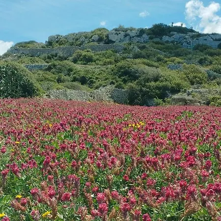 Ta' Gingel Farm Agriturisim B&b. Malta *