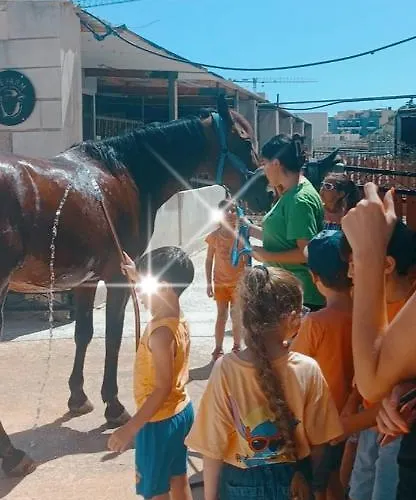 Ta' Gingel Farm Agriturisim B&b. Malta Κατάλυμα σε φάρμα